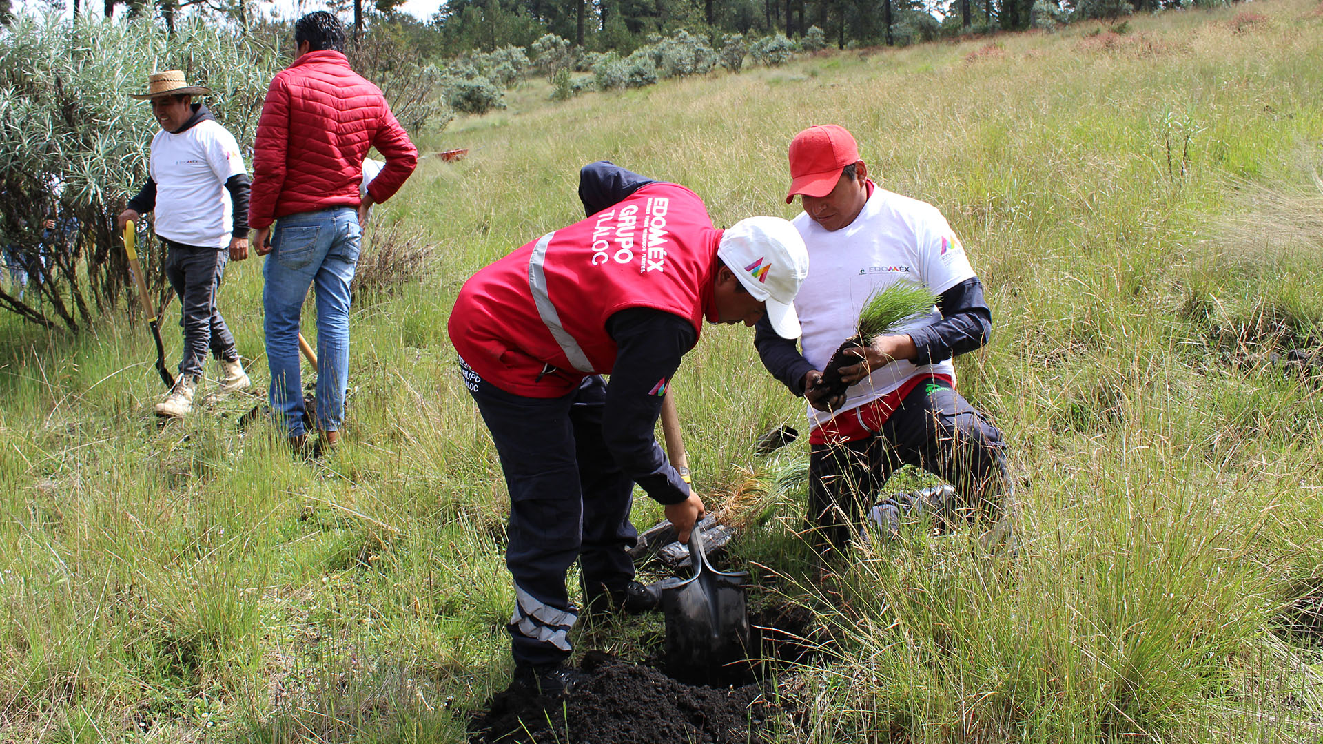 Participa CAEM en la Campaña Estatal de Reforestación 2019 “Dale un respiro al Edoméx”