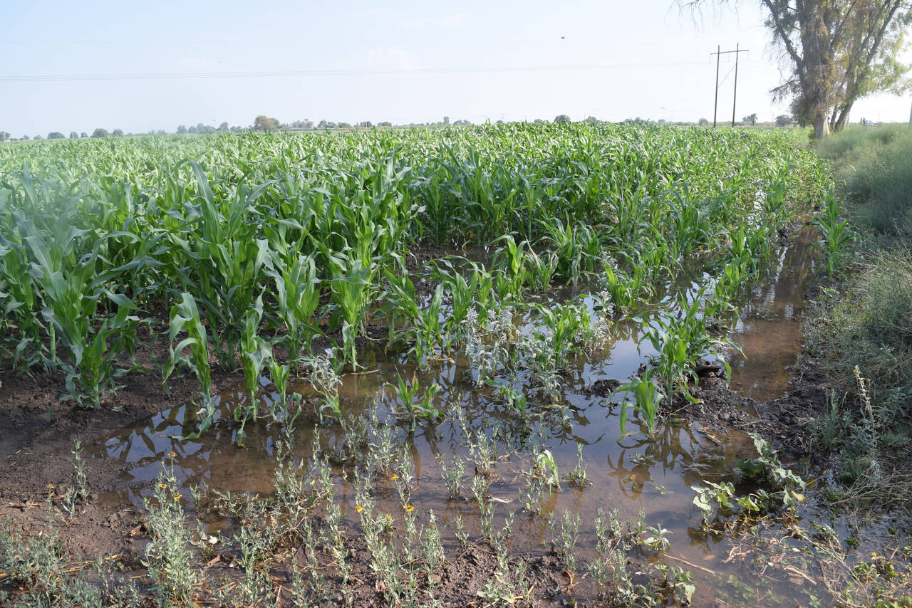 Ante crisis de agua en el Valle de México y la llegada del “día cero” es urgente un plan de tratamiento de agua residual y captar agua de lluvia: especialista de la UACh