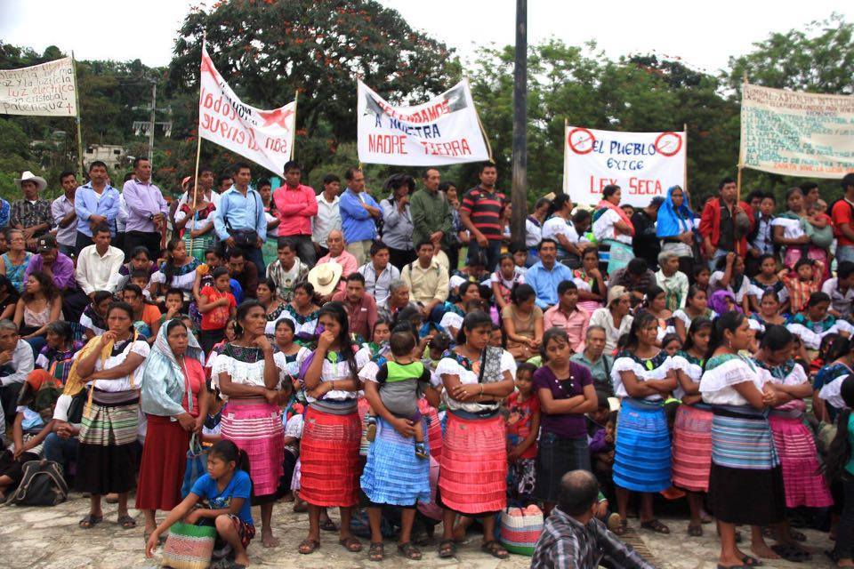 Fonatur espera participación de mil 500 indígenas en consulta de Tren Maya