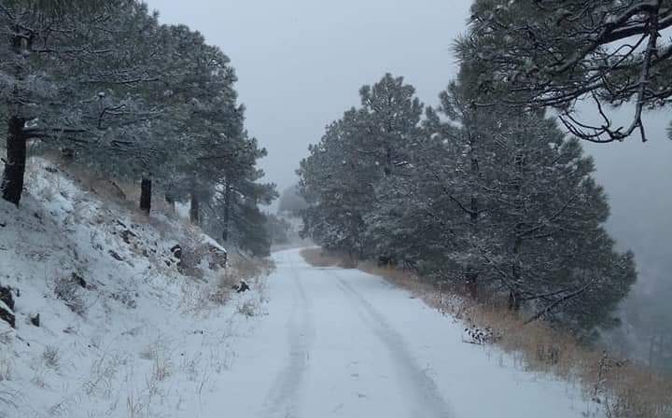 Nevada en Sonora