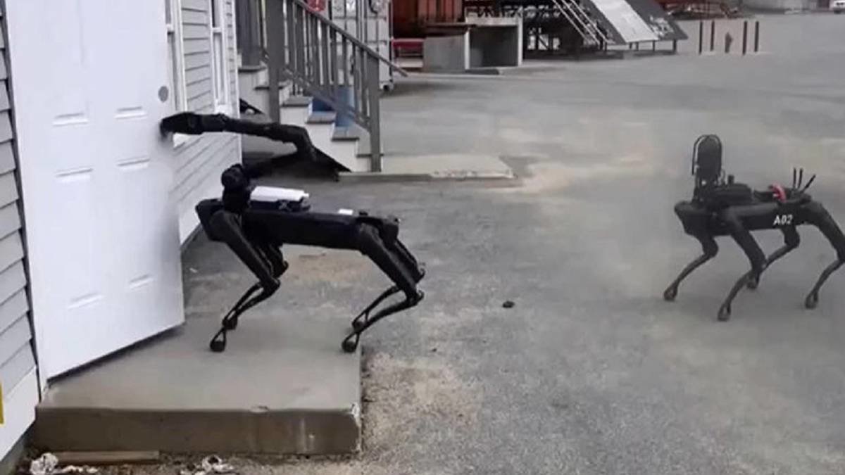 Perro Robot, Boston Dynamics
