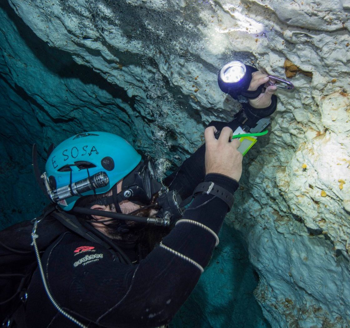 Hallan restos de megalodón en cueva de Mérida, Yucatán