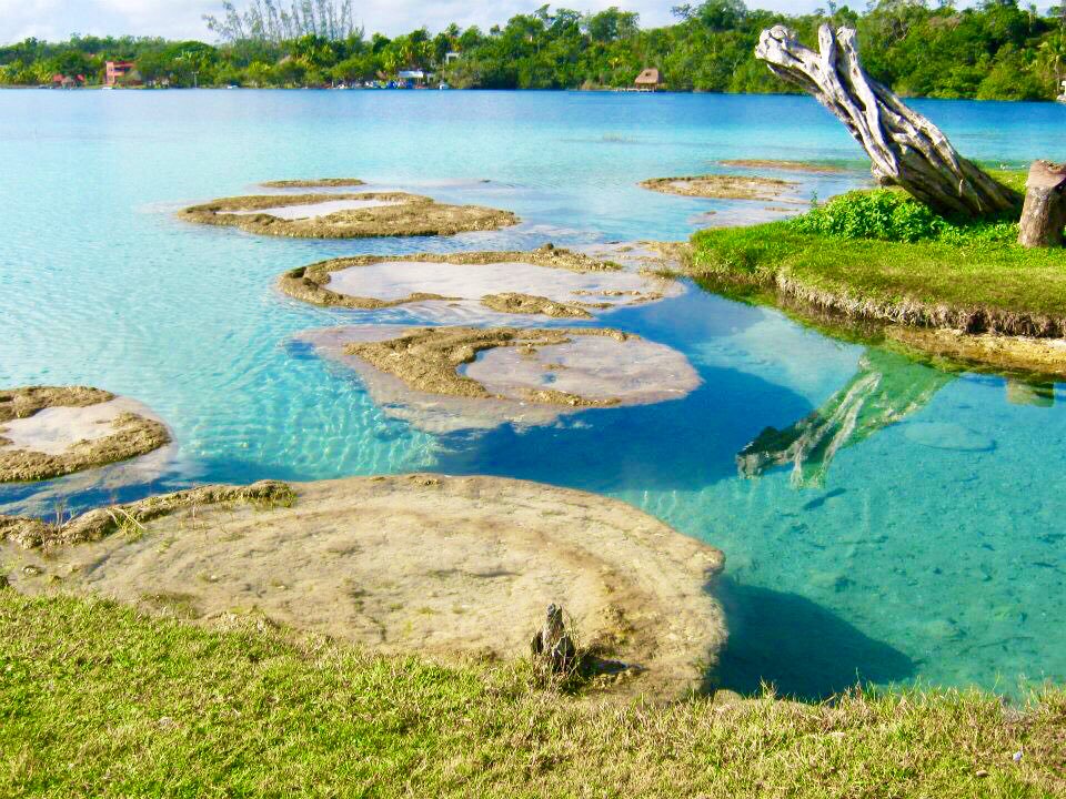 Encuentran estromatolitos en tres lagunas más de Quintana Roo