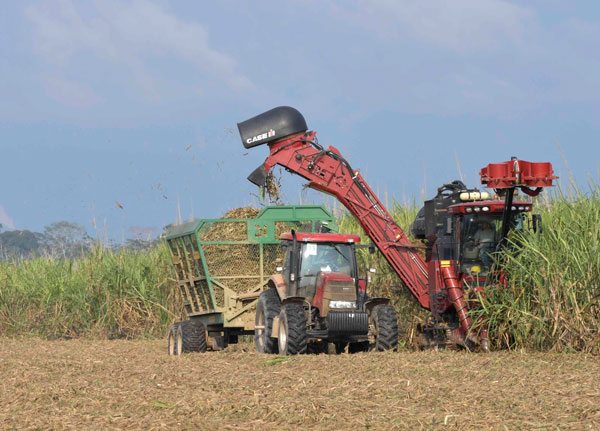 Definen Agricultura y apicultores plan para potenciar la producción de miel en el país