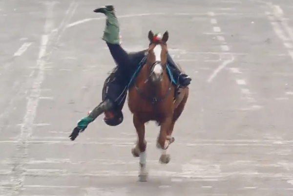 jinete cae de caballo en espectáculo