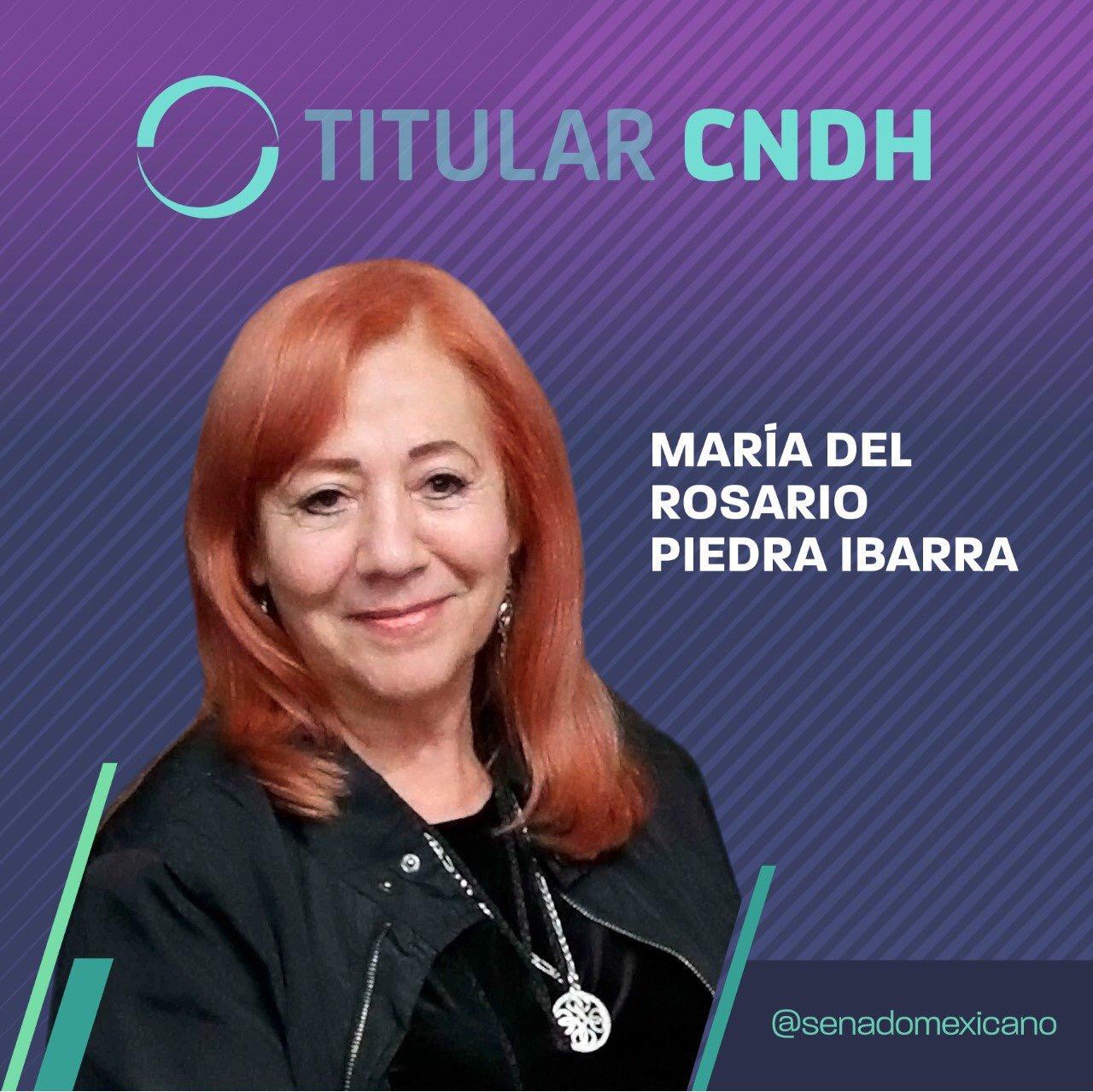 TEMAS CENTRALES: CNDH, una elección a modo