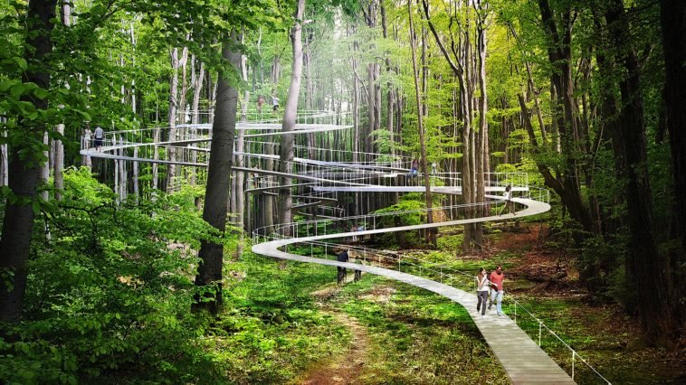 Crearán parque en Estambul en las alturas para caminar entre las copas de árboles