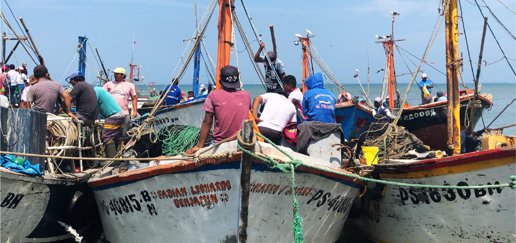 Impulsan reforma para establecer las bases de prevención, combate y sanción de la pesca ilegal