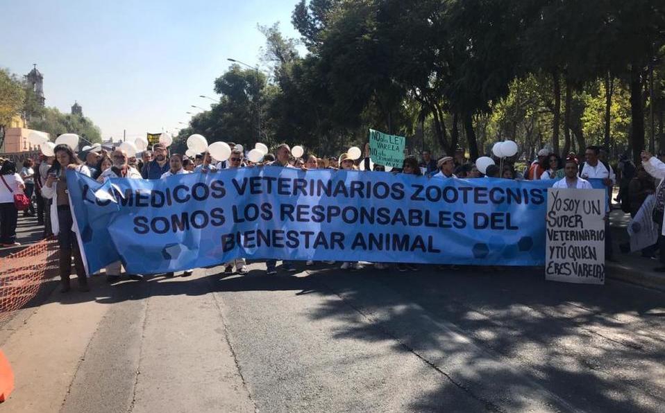 Marchan al Congreso de la CDMX en contra de la ‘Ley Varela’