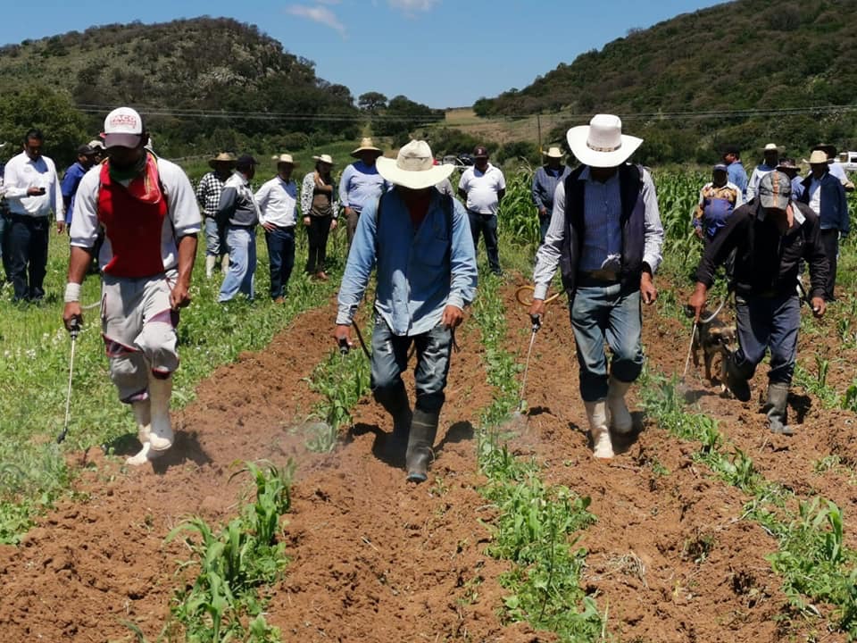 Plantea José Narro personalidad jurídica a ejidos y comunidades rurales para fortalecerlos