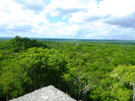 Urge Morena acciones para proteger la Reserva de la Biósfera de Calakmul