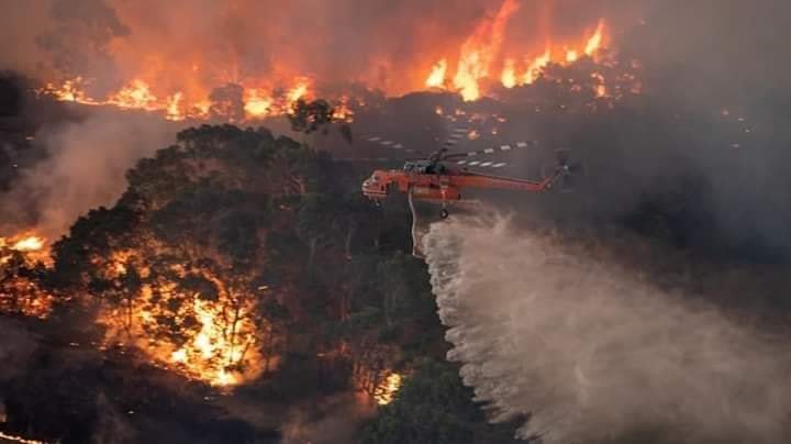 IMÁGENES: Así se viven los incendios forestales en Australia