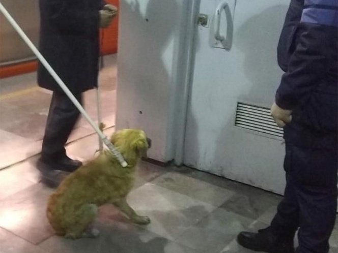 Rescatan a perrito 🐶 de las vías del Metro Nezahualcóyotl