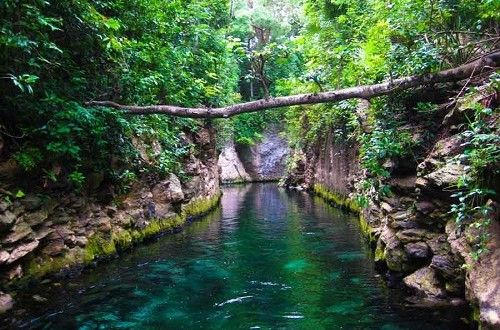 Xcaret amplía sus horizontes y elige a FIS para llevar el ecoturismo a nivel global