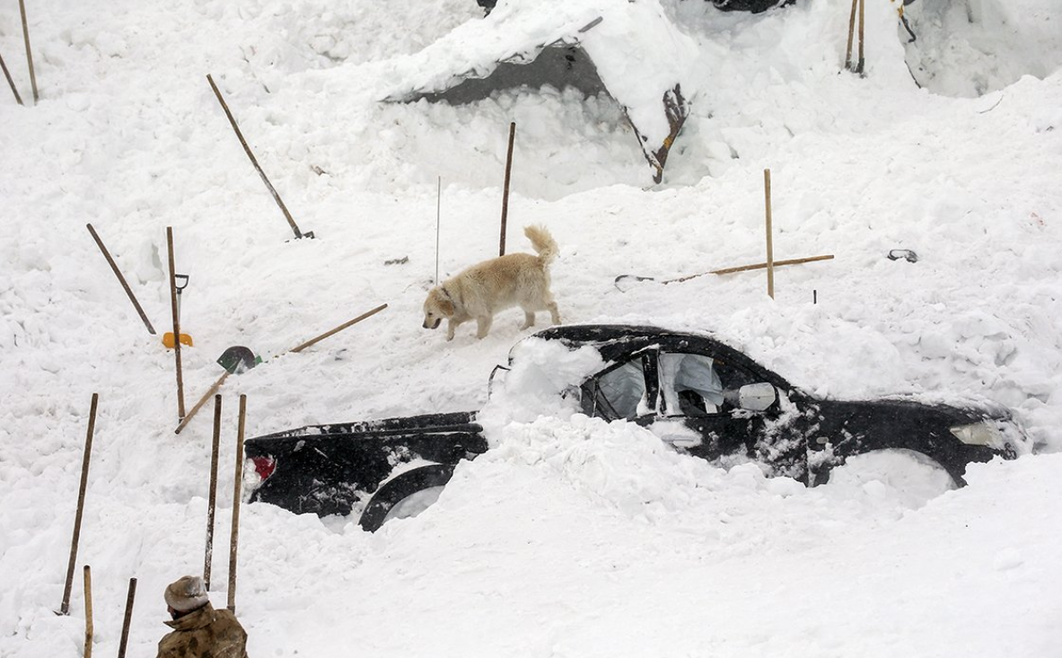 Avalancha en Turquía deja al menos 38 muertos