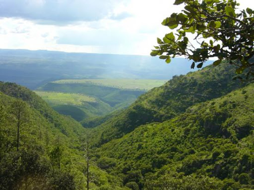 Busca SAMA declarar zona natural protegida región de Monte Escobedo