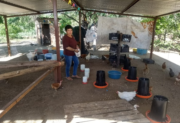 Capacita TecNM a grupos indígenas de Sonora en proyectos productivos