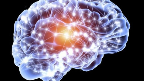 Científicos descubren más de 3000 tipos de neuronas en el cerebro