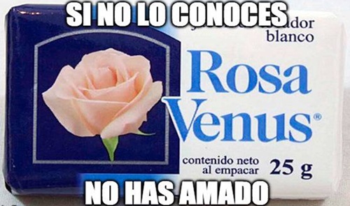 ¿Por qué ‘Rosa Venus’ es el jabón chiquito del amor?