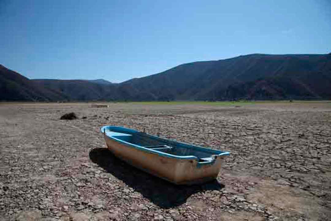 Sequía en laguna de Metztitlán deja unas 50 toneladas de peces muertos