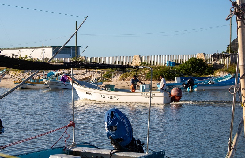 México requiere normas que respondan a necesidades de sector pesquero: Sánchez Arredondo