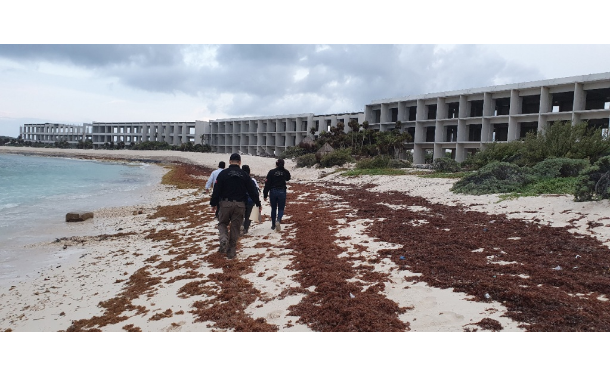 Ambientalistas denuncian ecocidio por construcción de hotel en Excacel, Tulum