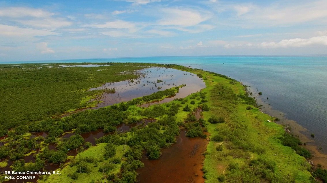 Quintana Roo permitirá la pesca para uso doméstico
