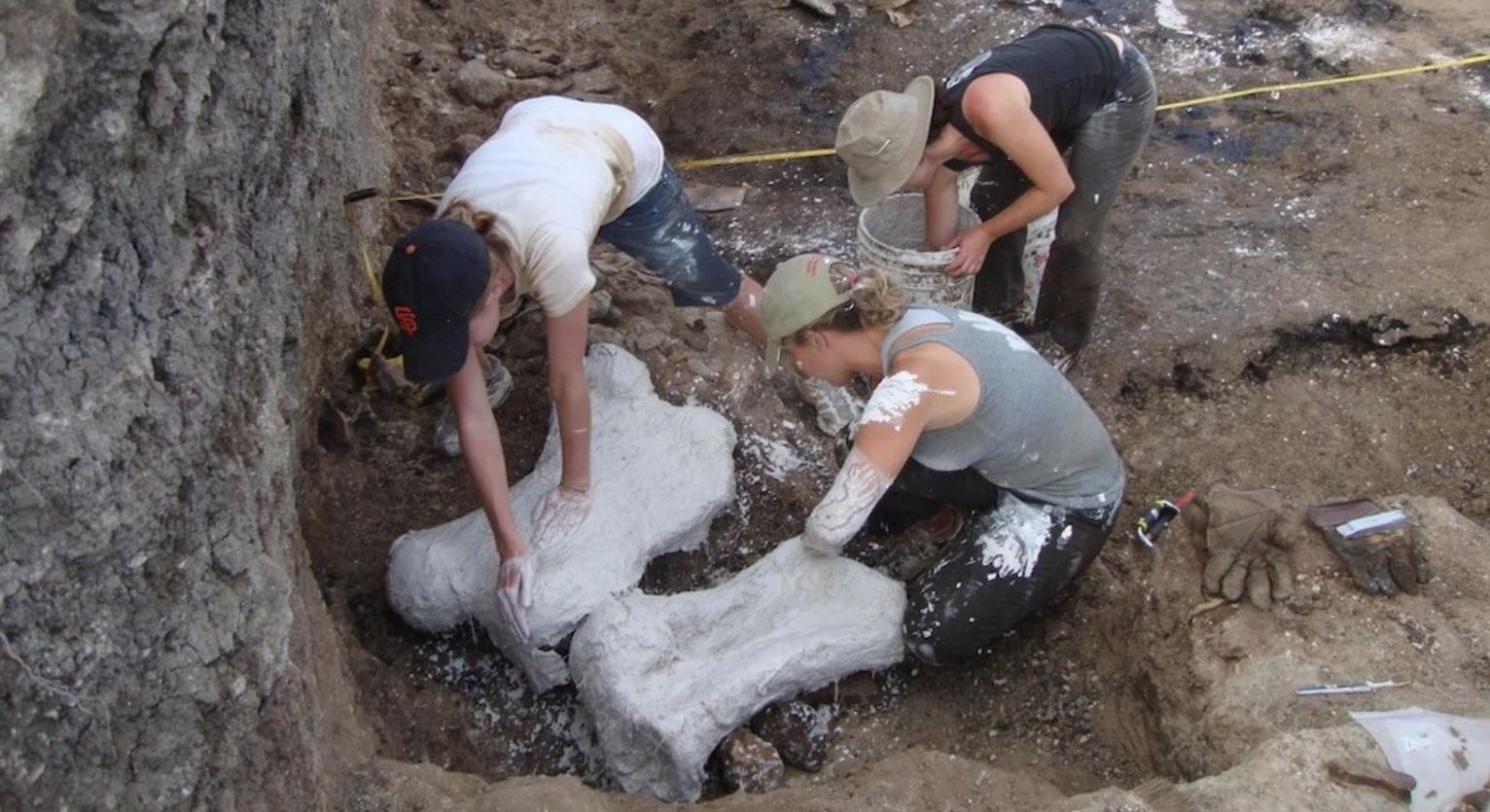 encuentran fósiles de perezosos gigantes, Ecuador