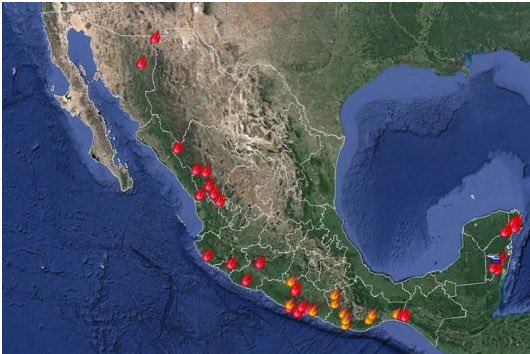 Conafor reporta 44 incendios forestales activos en el país