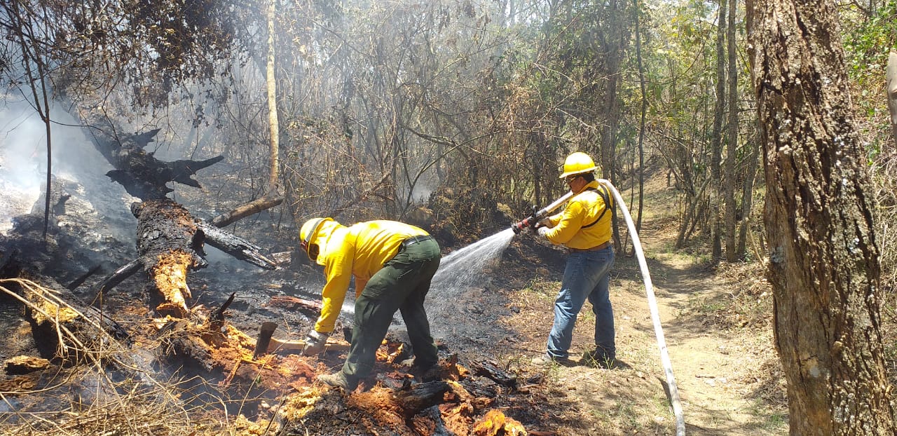 Liquidan 49 incendios forestales en Quintana Roo