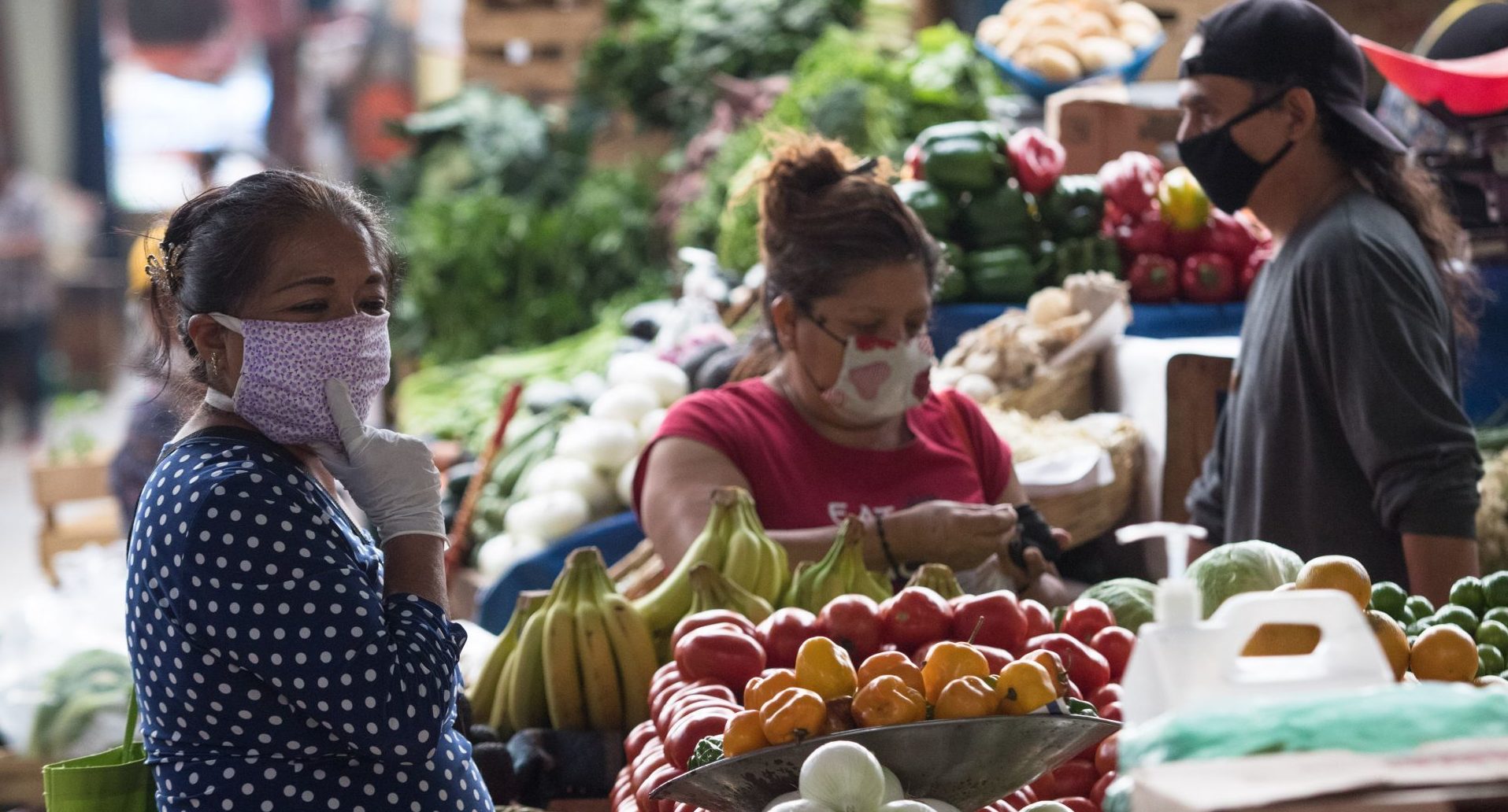 Anuncia Comisión de Economía que reiniciarán las audiencias públicas sobre economía social y solidaria