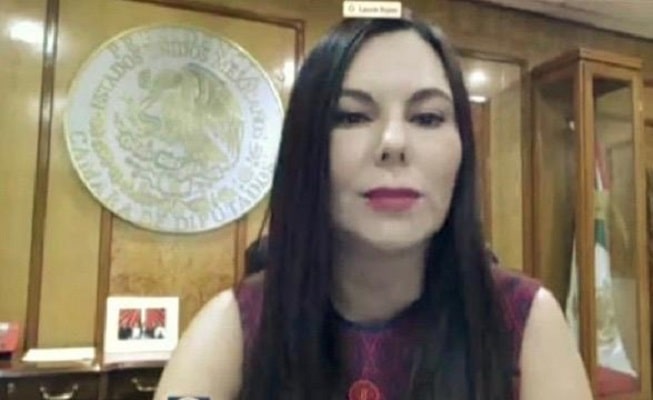 La diputada Laura Rojas plantea que se otorgue apoyo económico a quienes hayan perdido sus ingresos por la pandemia