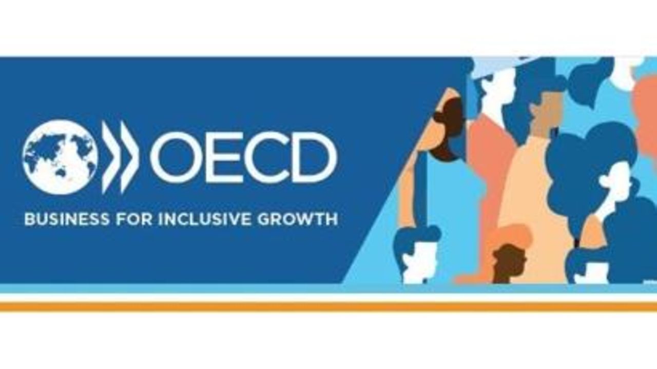 GINgroup y líderes empresariales encabezados por la OCDE, reportan los avances del B4IG en la búsqueda de una sociedad más inclusiva