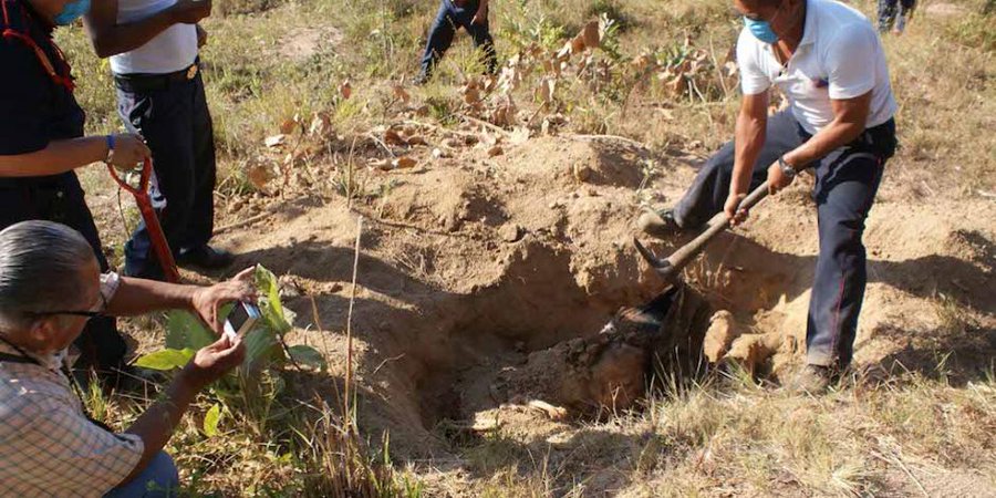 Veracruz, Sonora, Colima, Guerrero y Sinaloa concentran más del 50% de las fosas clandestinas: Segob