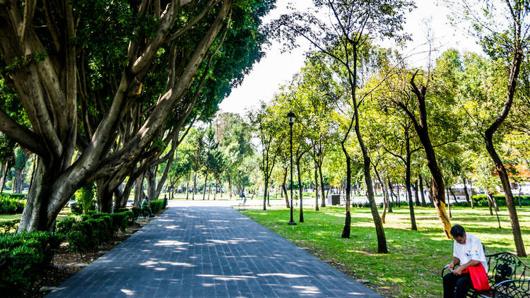 Coyoacán mantendrá parques cerrados hasta semáforo naranja