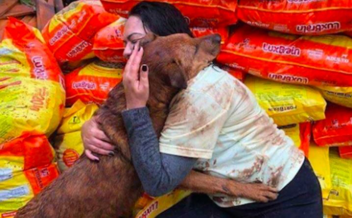 perrito abraza a mujer que donó comida a su albergue