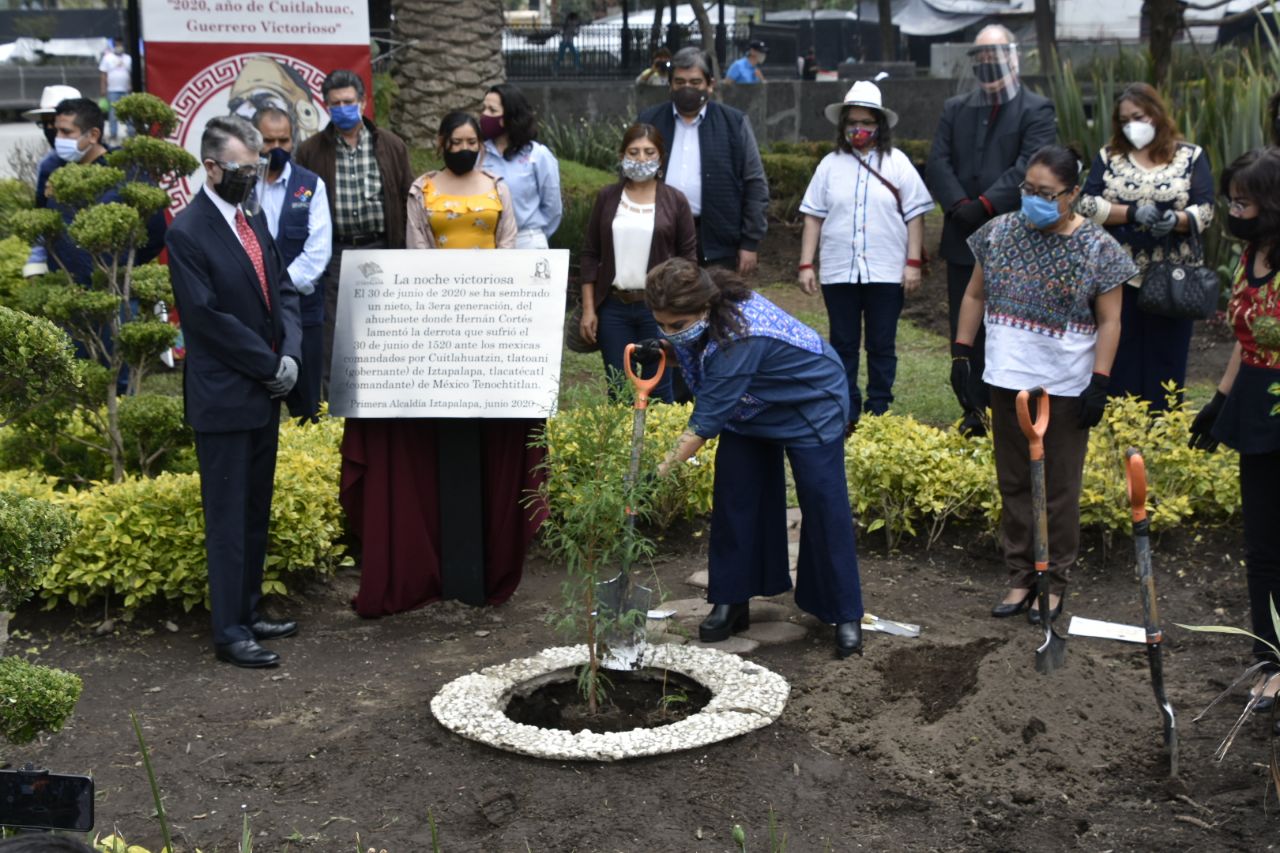 Plantan árbol en Iztapalapa para conmemorar la “Noche Triste”