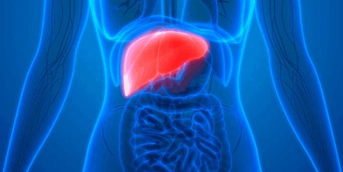 El 65% de los casos de cáncer de hígado se atribuyen a Hepatitis B y C