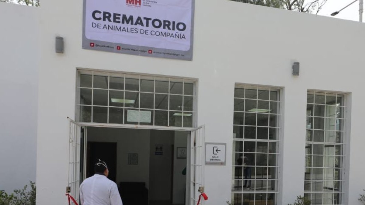 Abren crematorio público para mascotas en la Miguel Hidalgo