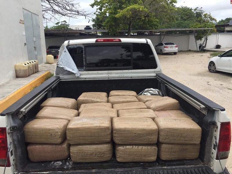 Decomisa la Guardia Nacional 160 kilos de marihuana en Quintana Roo