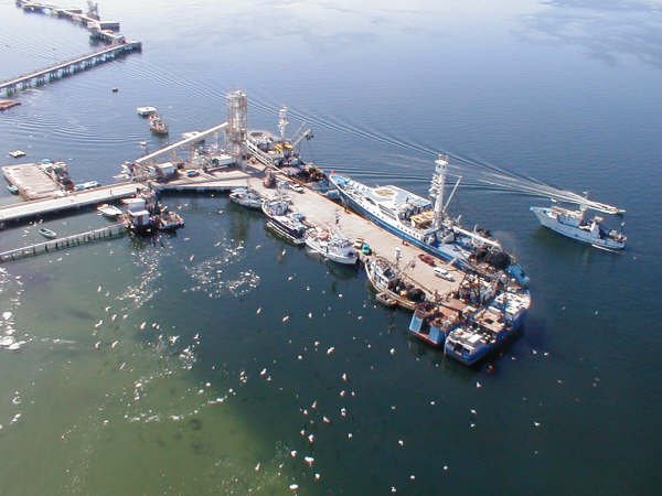 Pescaderos de Conduc denuncian agresiones en campo pesquero de San Carlos