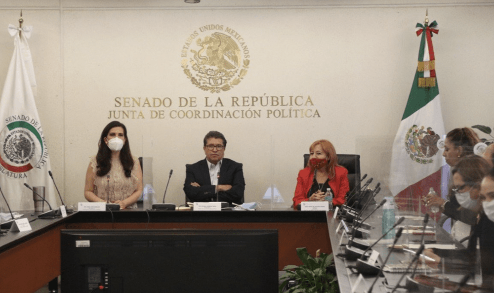 Hubo reunión, pero no diálogo con presidenta de la CNDH, dicen en el Senado