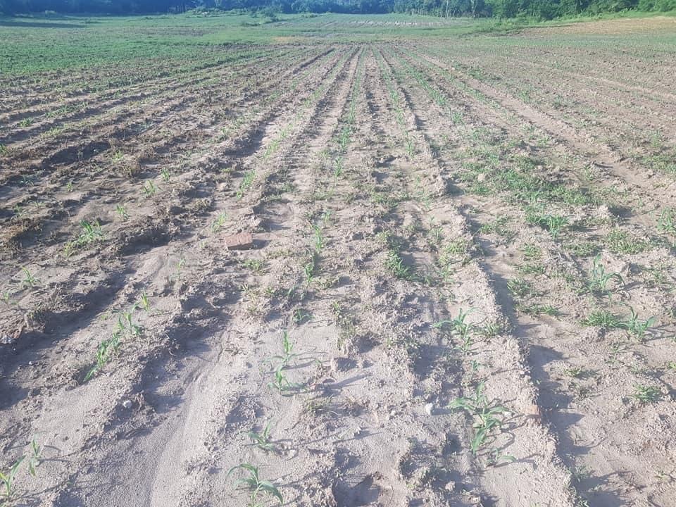 Para el campo este sexenio está perdido ante gobierno ajeno a la reconciliación nacional: CAP