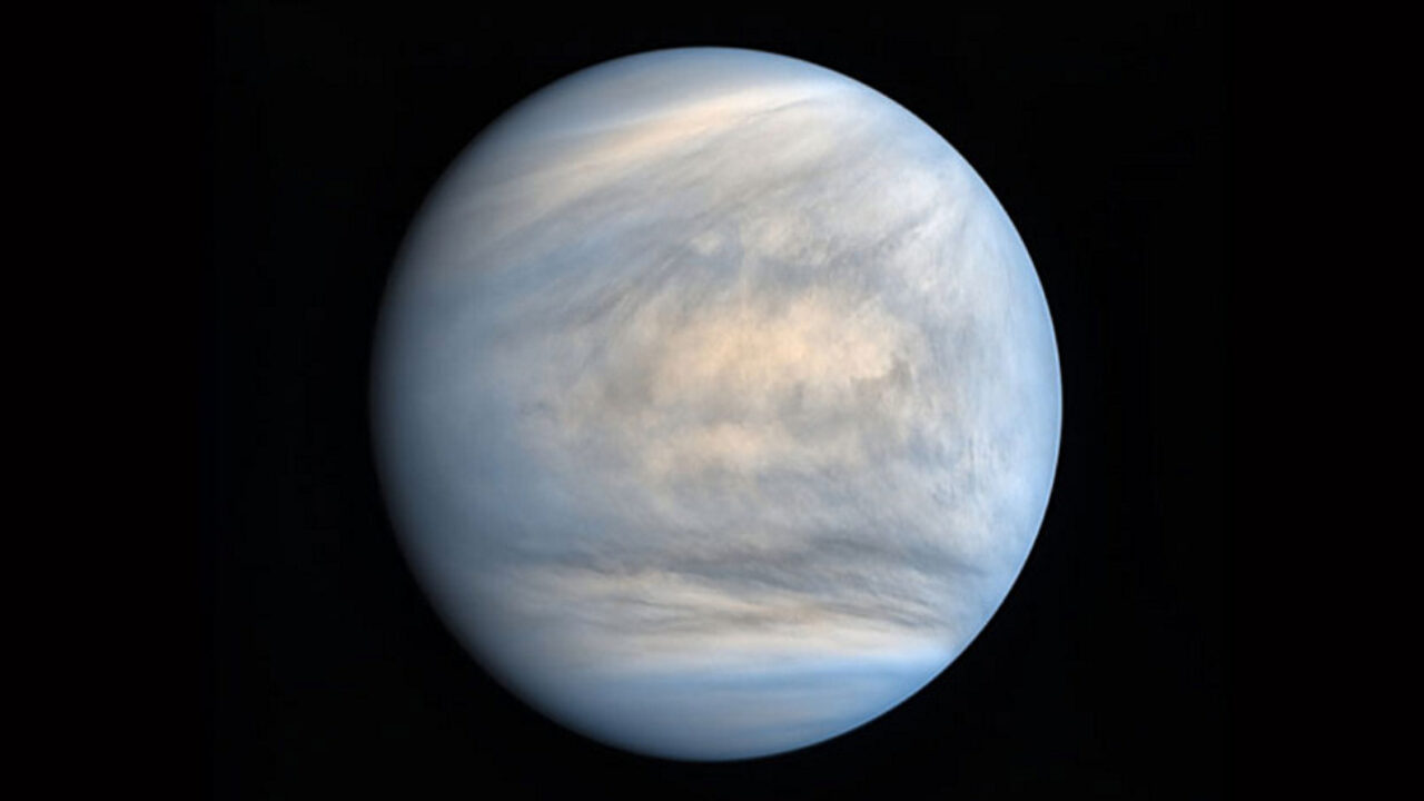 Científicos hallan indicios de vida en Venus