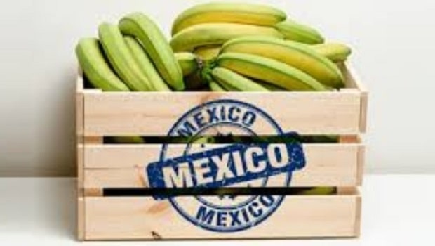 ÍNDICE POLÍTICO: La 4T trata a México como si fuera una república bananera