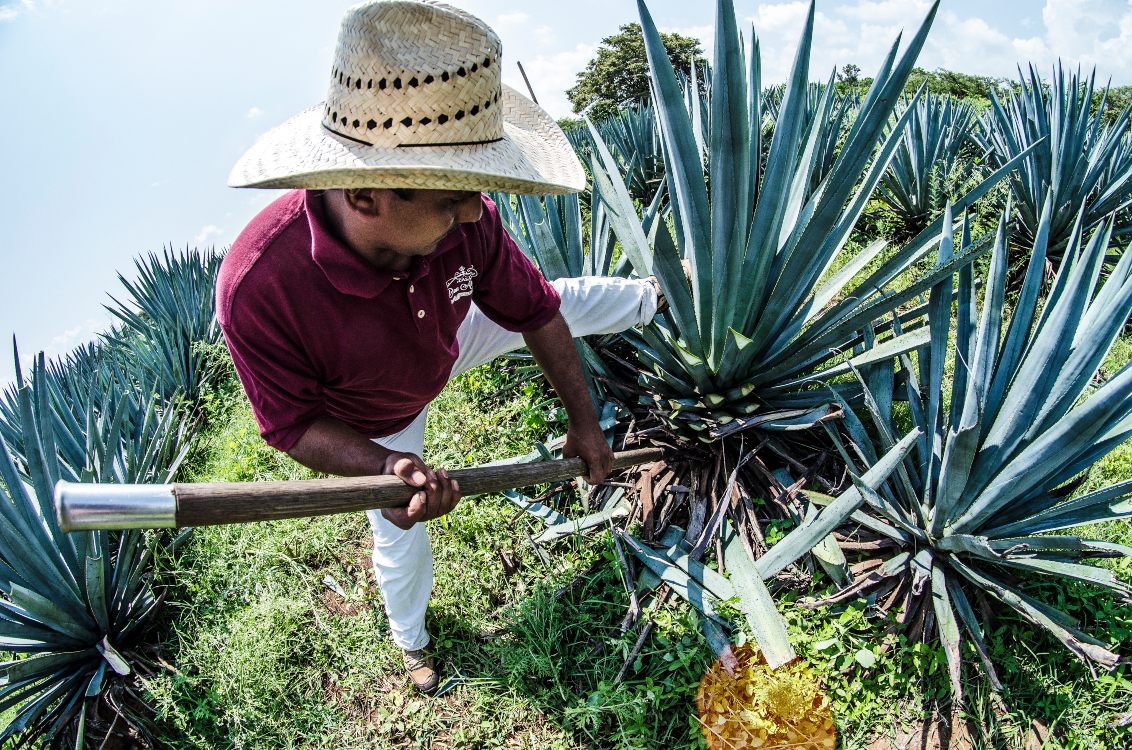 El tequila mexicano obtiene marca de certificación de Singapur