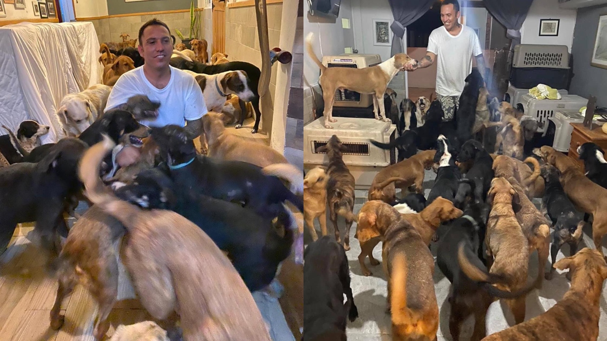 Este hombre resguardó del huracán Delta a 300 animales en su casa