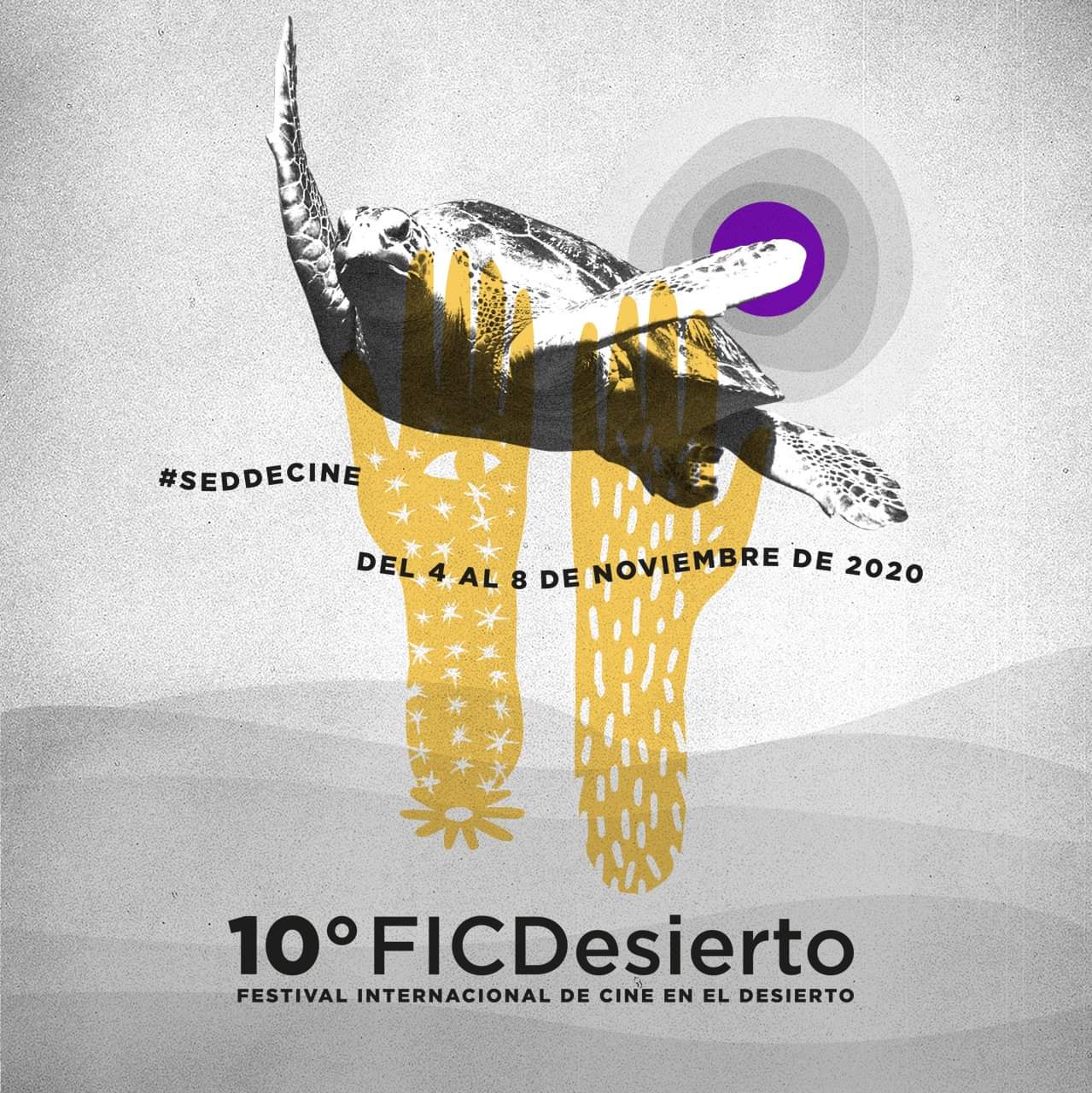 Cancelan el Festival Internacional de Cine del Desierto