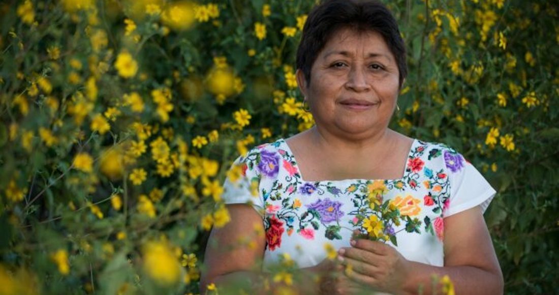 Leydy Pech, la mexicana que ganó el 'Nobel' del medio ambiente