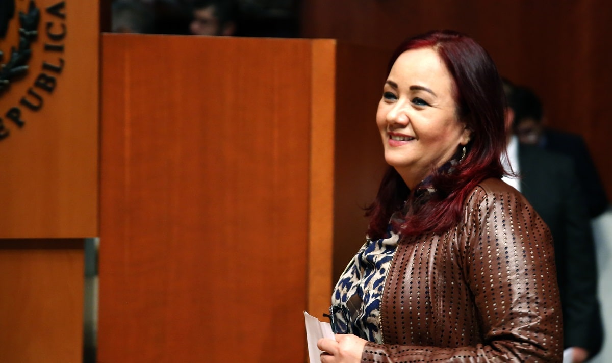 Piden en Senado establecer como derecho humano el servicio de suministro eléctrico, plantea Cora Cecilia Pinedo